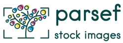 parsef_logo (2)