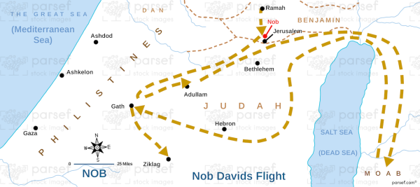 Nob Davids Flight
