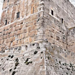 Citadel of David