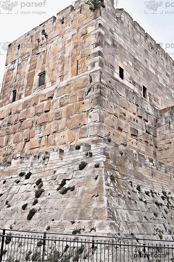 Citadel of David