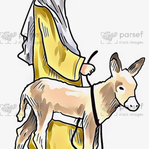 Man Small Donkey