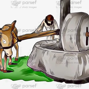 Olive Press