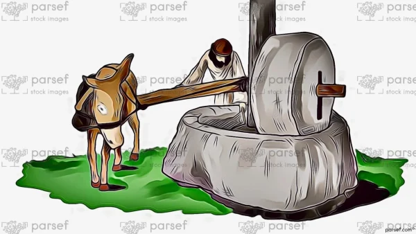 Olive Press